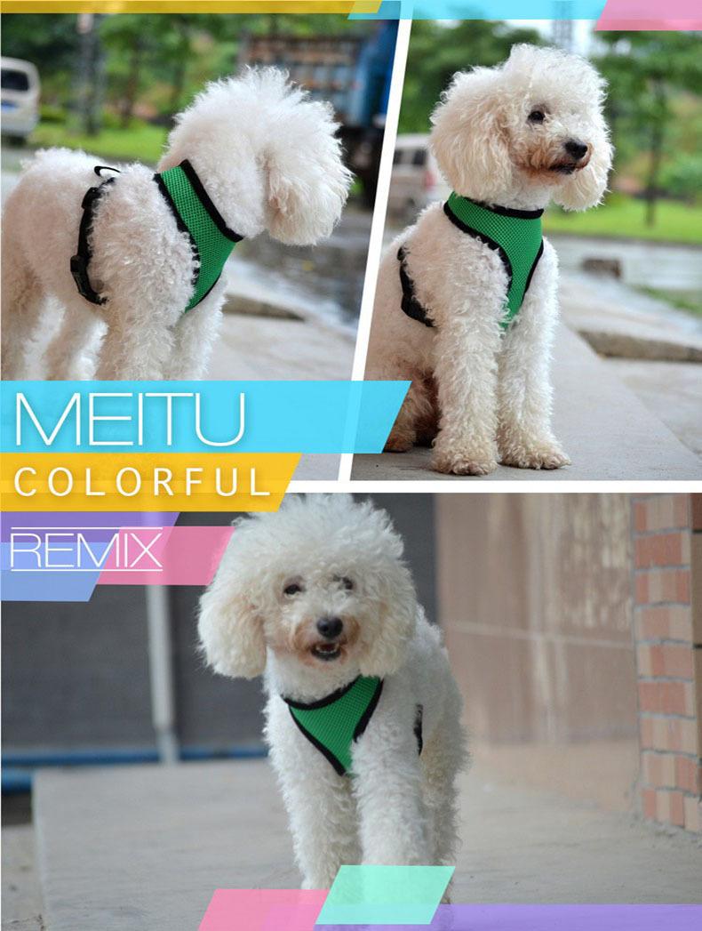 O1CN01tv8ta724iF7NMh1hs_!!2209