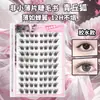 30 pares de cílios postiços Qingqiu Fox sem cola 2.0, apresentando um estilo natural de olho de raposa e um grande volume de 240 tufos por caixa.