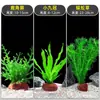 Plantas de Acuario, Decoraciones de Paisajismo con Césped Real, Plantas Aptas para Principiantes, Crisantemo Verde Ciempiés, Plantas de Sombra, Piedra Volcánica, Plantas Verdes Purificadoras de Agua