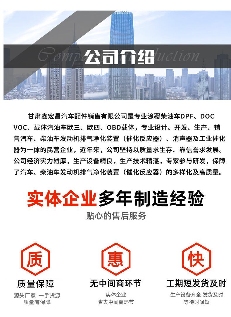 大众三元催化器_10.jpg
