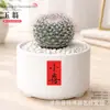 Plantas Suculentas de Interior, Cactos Pequenos em Vasos, Flores, Plantas Verdes, Escritório, Jardim de Infância, Mesa, Suculentas Tipo Cacto