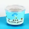 Xiaodouding DIY Planta Verde Pequena em Vaso Pequeno Presente para Crianças Planta de Mesa de Escritório Ornaments de Bonsai Plantio de Plantas em Vaso