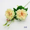 2 Cabeças de Rosa Laifei de Galho Único Rosa Artificial Rosa Casamento Decoração de Sala de Estar Interna Adereços Decoração de Casamento Flores