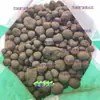 Medicina Herbal China Wuming Yi 500g Genuino Wuming Yi Tu Zi Gan Zi Tu Zi Tie Sha Hei Shi Zi Se Puede Moler en Polvo