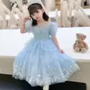 Vestido Princesa Frozen Meninas Mulheres Verão Aisha Novo Vestido Infantil Vestido Verão Aisha Vestido de Aniversário