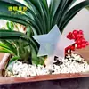 Etiqueta en forma de T de acrílico Marcador de planta en maceta de jardinería Marcador de jardín Inserto de mariposa Inserto de suelo para jardín