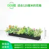 Paisajismo con Plantas Verdes, Jardineras, Maceteros, Arreglos de Plantas Artificiales, Decoraciones de División, Decoración de Jardinera para Cafetería Restaurante