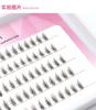 Novato Tres Colores Princesa Universitaria Pestañas Postizas Extensión Extremo de Ojo Natural Cruzado Segmentado Tallo Transparente Grupo Individual Mami