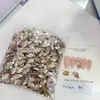 Pacote Completo de Acessórios para Nail Art de Fundo Pontiagudo Atacado, Strass Quadrados Brilhantes Grandes e Pequenos na Cor Champagne Formato de Ovo de Pombo para Decoração de Nail Art