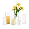 Vaso de vidro borossilicato grande grosso rico arranjo de flores de bambu vaso de chão simulação de flor decoração reta