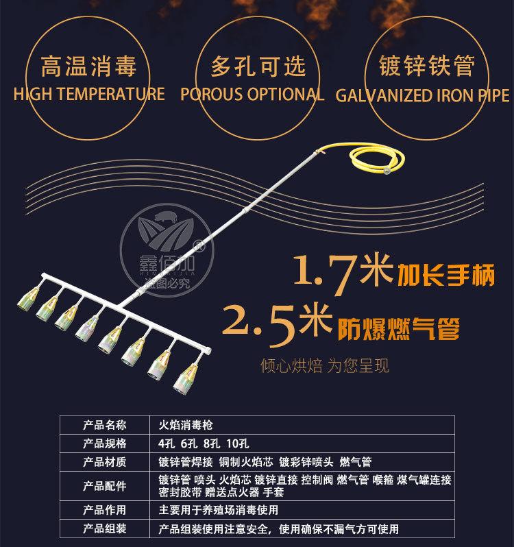火焰消毒枪AA详情页 (2).jpg