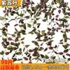 99 Piezas de Ratán Pegado con Hojas Verdes, Hojas Artificiales para Decoración de Tuberías de Aire Acondicionado Interiores, Envoltura y Cubrimiento de Enredaderas y Hojas Verdes