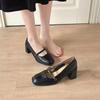 Versión de piel de oveja ~ Zapatos de tacón grueso de punta cuadrada francesa de boca baja para mujer, nuevos de principios de otoño, retro, de tacón alto con zapatos Mary Jane