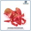 Impresión 3D escarabajos peloteros escarabajos unicornio hada articulación integrada modelo móvil adornos mano transfronterizo