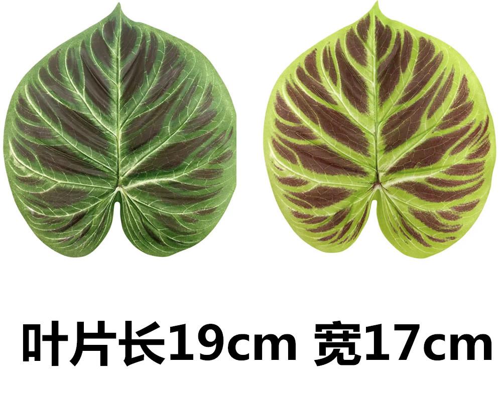 未命名_副本