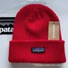 Gorro de Punto Casual Estilo Coreano Moda Femenina Hip-Hop Lana Gorro Cálido Grueso para Exteriores Frío Tela de Pic Tela Tela Gorra de Tela Hombres
