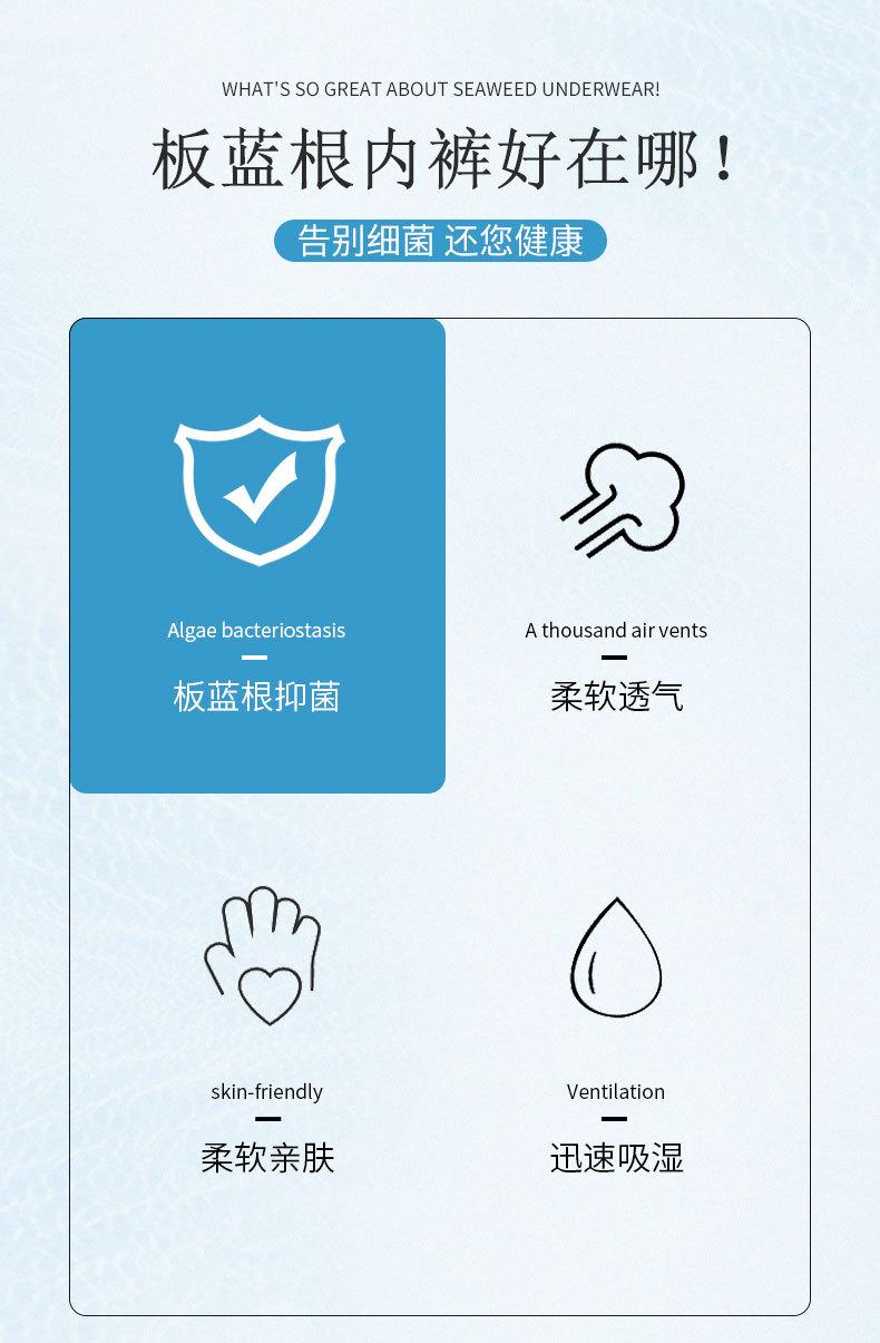 板蓝根内裤_03.jpg