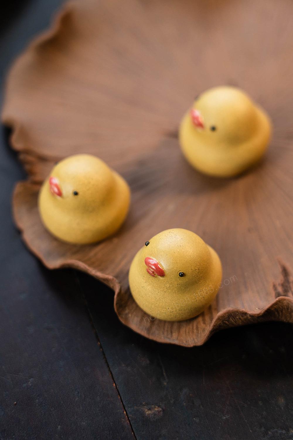 小鸭子 20220626 (31).jpg