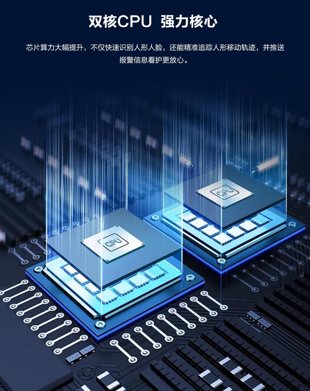 P15--SP8_09.jpg