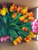 Flor Artificial Tulipán suministros para bodas festival de primavera suministros de Año Nuevo mayoreo y menudeo