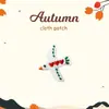Parches de tela de otoño para manualidades, parches de bordado de dibujos animados para accesorios de ropa, bolsos, zapatos y sombreros, parches de reparación sin coser