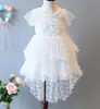Nuevo Vestido Falda de Pastel Bordado Ropa Infantil Tela Bordada Gancho de Punto Tela Bordada