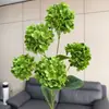Flor de Hortensia de Caramelo de 5 Cabezas, Rama Única Estilo Coreano, Flor Artificial de Boda, Decoración de Flores Artificiales, Arreglo Floral, Diseño de Escena de Hotel