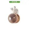 Marco de Escalada para Gatos Montado en la Pared con Plataforma de Salto de Madera Maciza para Gatos