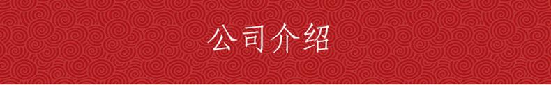 公司介绍
