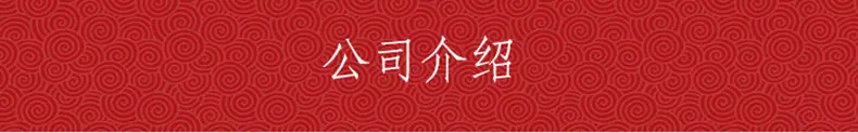 公司介绍
