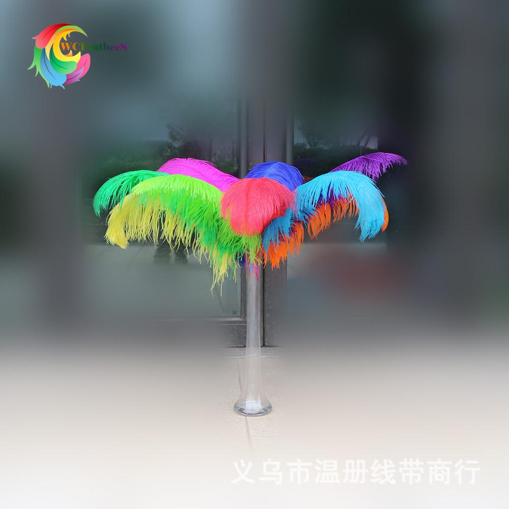 鸵大杆 60-65cm 1