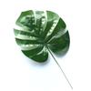 Simulación de una sola pieza de hoja de bambú de tortuga, hoja Kui, hoja de cola dispersa, hoja verde, hoja falsa única, decoración de boda, hoja verde falsa de plástico