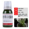 Colección de Aditivos Medicinales Pequeños para Cebo de Pesca en Pozo Negro de Guangdong