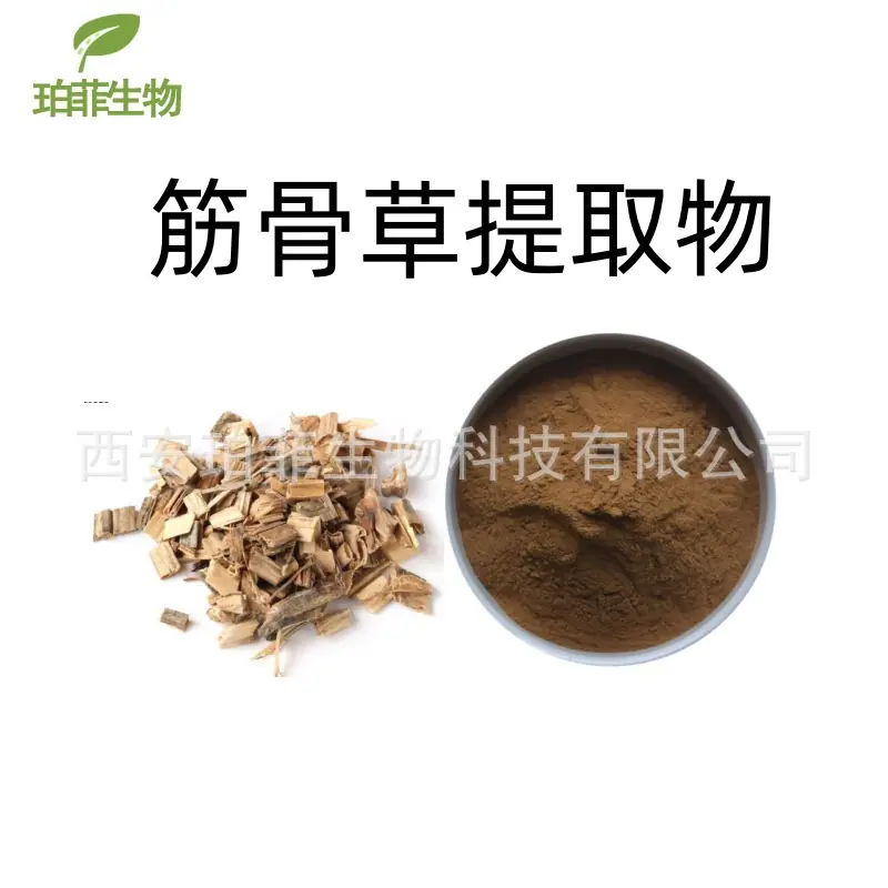 筋骨草