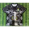 Serie Especial de Uniformes de Fútbol para Adultos de Manga Corta de Jersey Brasileño al por Mayor