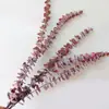 Folha de Eucalipto Eterna Eucalipto Dinheiro Flor Real Arte Floral Arranjo de Flores Casamento Casa Loja Decoração Suave Exibição Buquê de Flores Secas Outro Outro