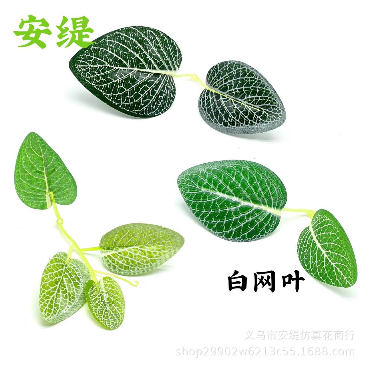 微信图片_20221206134917