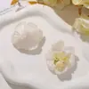 Parche de Resina Estilo Dulce y Suave Cuentas de Vidrio de Arroz Racimo de Flores Tejido Accesorios para el Cabello DIY Tocado Zapatos de Mujer Accesorios de Flor