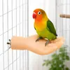 Perchero para pájaros con forma de mano simulada, mano artificial desmontable para periquitos, cotorras y periquitos sol, accesorios para pájaros