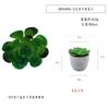 Em estoque simulação suculentas tesouro lótus vasos enfeites de mesa presente mini bonsai verde TEMU simulação planta