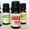 Óleo Essencial de Fábrica Atacado 10ml Perfume Máquina de Aromaterapia Incensário Umidificador Óleo Essencial de Aromaterapia
