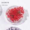 Arte de Unhas Flores Secas Atacado Flor de Renda Celebridade Cibernética Explosões DIY Japonês Pétala Decoração Padrão Unha Pequenos Acessórios