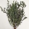 Fábrica por atacado material de flores eternas folhas finas folhas de eucalipto buquê de flores secas naturais decoração para casa arranjo de flores