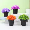 Amazon Explosões Simulação Planta em Vaso Combinação Decoração de Mesa para Casa Planta Verde Mini Planta de Simulação Bonsai Flor de Simulação