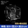 Caja de Incubación Científica para Crías de Tortuga en Lata Caja de Aislamiento Acrílico Estudiante Ovipositor Shougong Caja para Peces Pequeños Tortuga