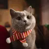 Novo Cruzamento Animal de Estimação Natal Gato Cachorro Sino Cachecol de Tricô Fofo Aquecedor de Pescoço Decorações para Animais de Estimação