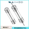 Tubo de fusible de vidrio de 250V, tubo de vidrio de fusible 3.6x 10, tubo de fusible cerámico 5x 20 ha pasado la certificación de seguridad