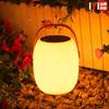 E-Commerce Transfronterizo Luz de Ambiente Solar para Jardín Exterior Impermeable Luz Solar de Mesa para Jardín Luz Decorativa para Camping