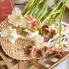 Fiorera Clivia Estilo INS Flores Artificiais para Decoração de Casa Flores Falsas Atacado Buquês de Mão Decorações de Casamento Transfronteiriças