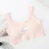 Ropa interior para niñas Estudiantes de secundaria Estudiantes de preparatoria Estudiantes de preparatoria Algodón puro Puesto Desarrollo Chaleco pequeño Niños grandes Sujetador para niñas
